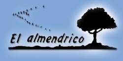 Inicio